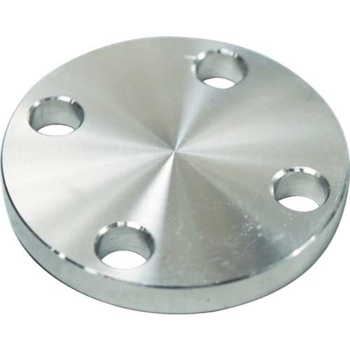 FLOBAL SUS304 5K 閉止フランジ 14100558 SUS-5K-BL-FF-50A