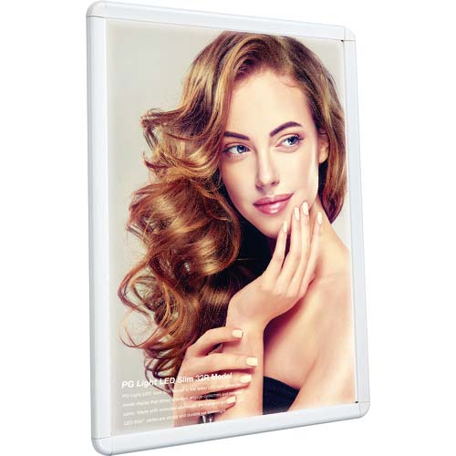 【廃番】シンエイ LEDパネルPGライトLEDスリム 32R