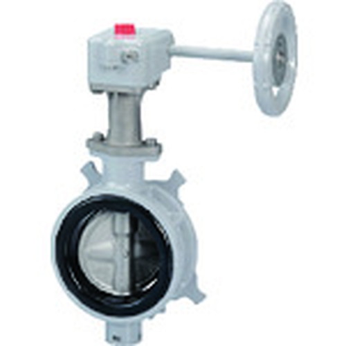 KITZ バタフライバルブ(アルミ製) G-10BJUE-200A