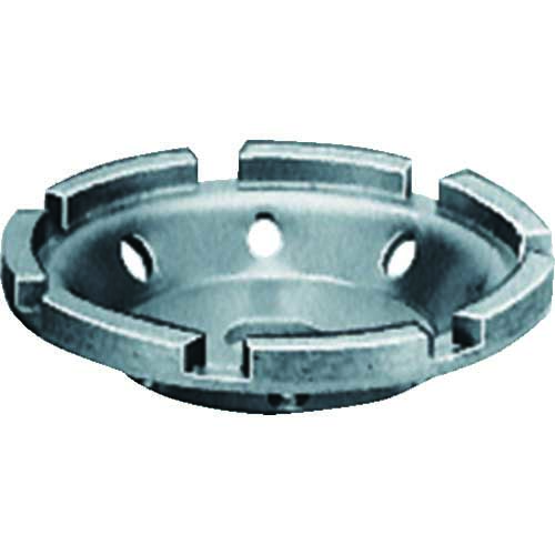 日東 ミルスケーラー用ジェットホイ-ルASSY(TA9A931) EMS-JF