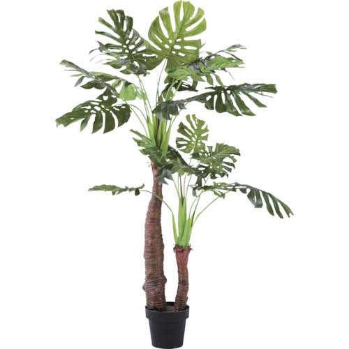 【廃番】リレヤ 人工観葉植物 モンステラ(中) WD-03
