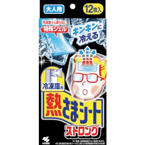 小林製薬 冷凍庫用 熱さまシートストロング 大人用 12枚 4987072048986