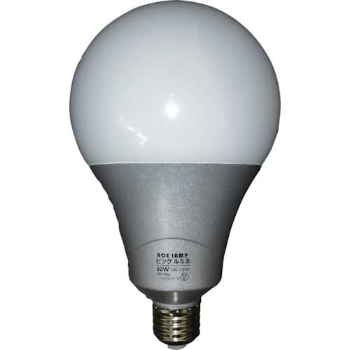 【廃番】WING ACE LED電球ビッグルミネ 30W替玉 LED-L30