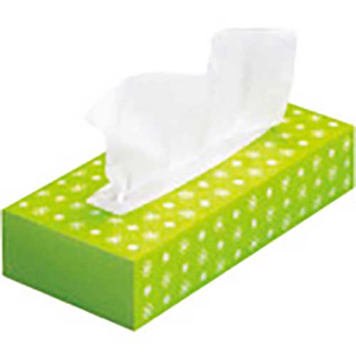 【廃番】JTX 354400ティッシュペーパー 60箱入 N042J-12P