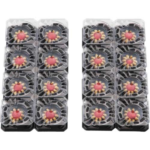 アース 業務用アースゴキブリホウ酸ダンゴ1箱64個入り(=16個×4袋) 675514