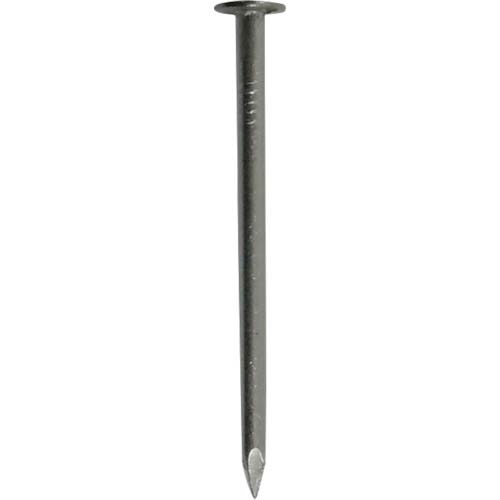 DAIDOHANT HP ステンレス釘 平頭 3.05×65 8本入 10183047