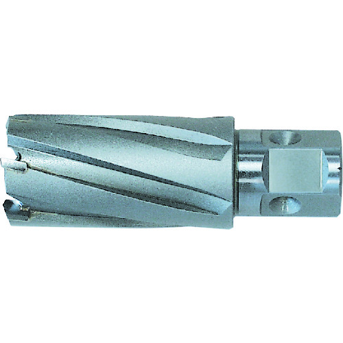 日東 ジェットブローチ