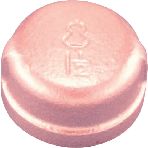 プロテリアル キャップバンド付 白品 BCA