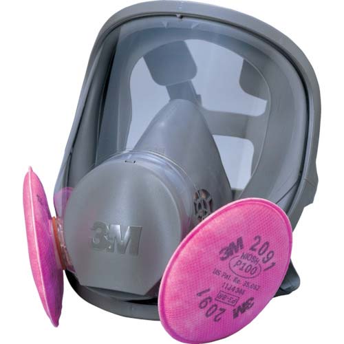 3M ��֎��h����}�X�N 6000F/2091-RL3