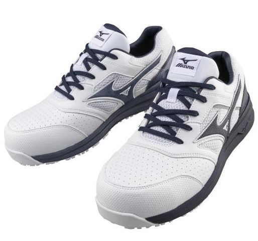 ~Ym I[}CeB LSII 11L SC F1GA2100