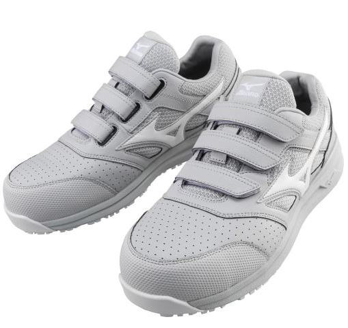 ~Ym I[}CeB LSII 22L SC F1GA2101