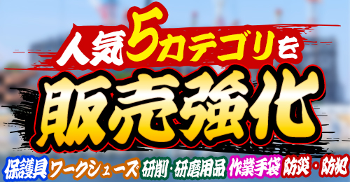 �t���n�[�l�X�A���[�N�V���[�Y�A���팤���A��Ǝ�܁A�h�ЁE�h�Ɛl�C5�J�e�S����̔�����