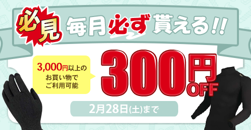 �y�����z�M�I�z300�~�N�[�|���Q�b�g�̓�