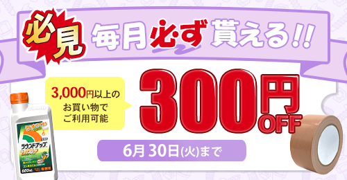 �������s300�~OFF�N�[�|��