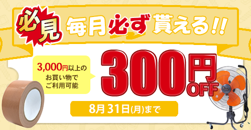 �y�����z�M�I�z300�~�N�[�|���Q�b�g�̓�