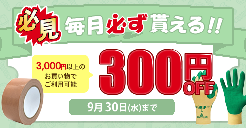 �y�����z�M�I�z300�~�N�[�|���Q�b�g�̓�