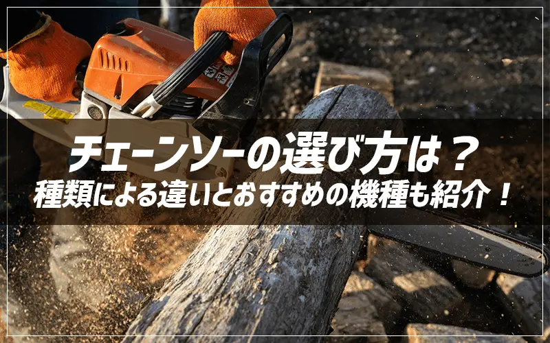 w`F[\[̑Iѕ́HނɂႢƂ߂̋@ЉIx