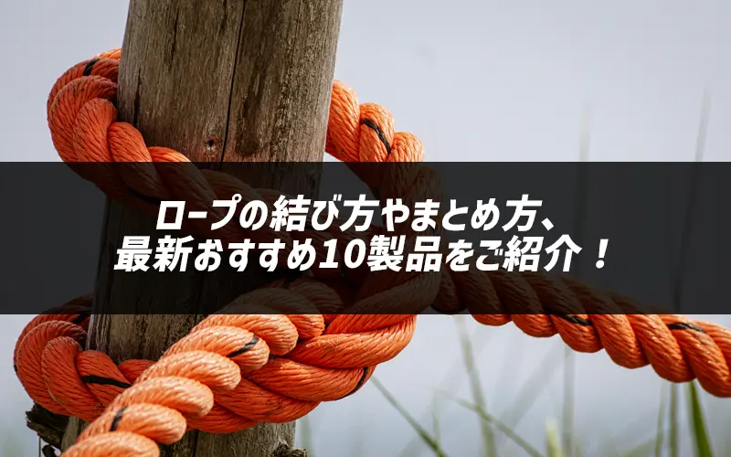 [v̌ѕ܂ƂߕAŐV10iЉI