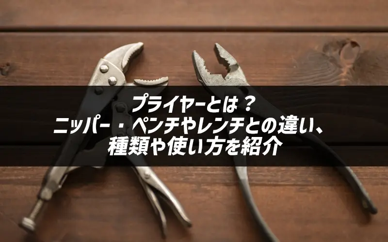 vC[Ƃ́Hjbp[Ey`⃌`Ƃ̈ႢAނgЉ