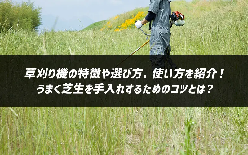 @̓IѕAgЉI܂Őꂷ邽߂̃RcƂ́H