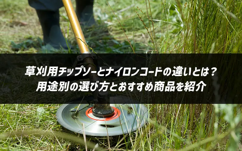 p`bv\[ƃiCR[ḧႢƂ́Hprʂ̑IѕƂߏiЉ