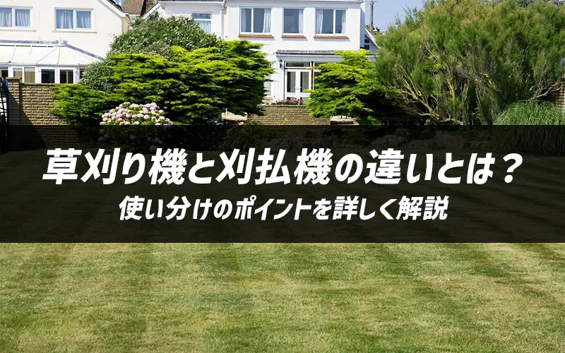 @Ɗ@̈ႢƂ́Hg̃|Cgڂ