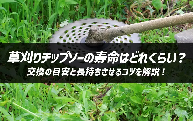 `bv\[̎͂ǂꂭ炢H̖ڈƒRcI