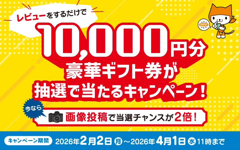 �M�t�g��������I���r���[�L�����y�[���J�Ò��I